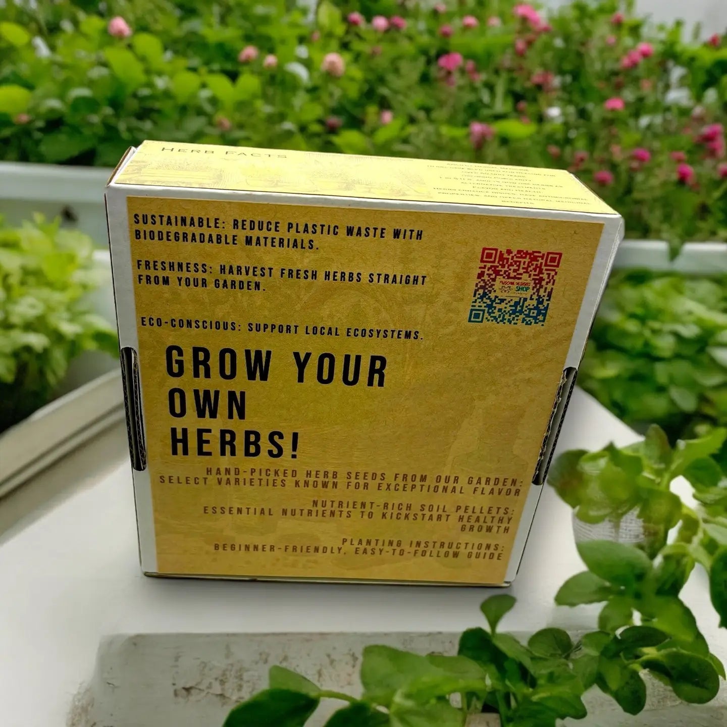 Fuschia Design Shops - Indoor Herb Garden Starter Kit with Parsley, Chives, and Dill Seeds