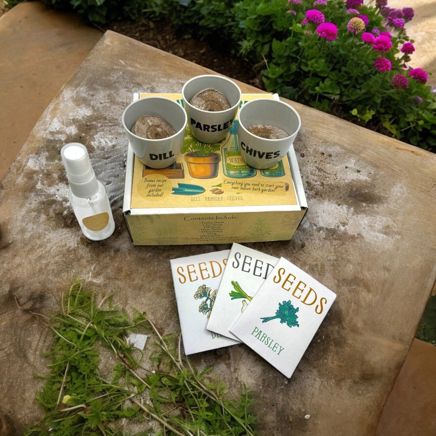 Fuschia Design Shops - Indoor Herb Garden Starter Kit with Parsley, Chives, and Dill Seeds