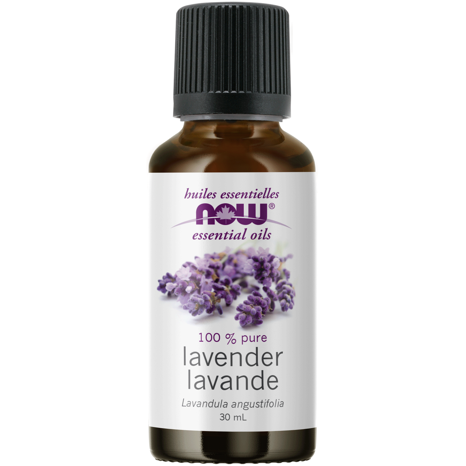 Now - Lavender Essential Oil