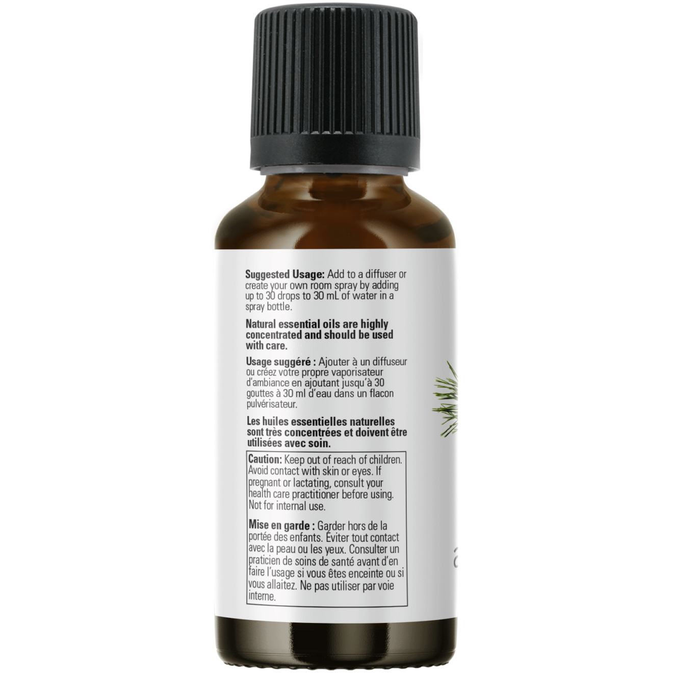 Now - Pine Needle Essential Oil - 30ml