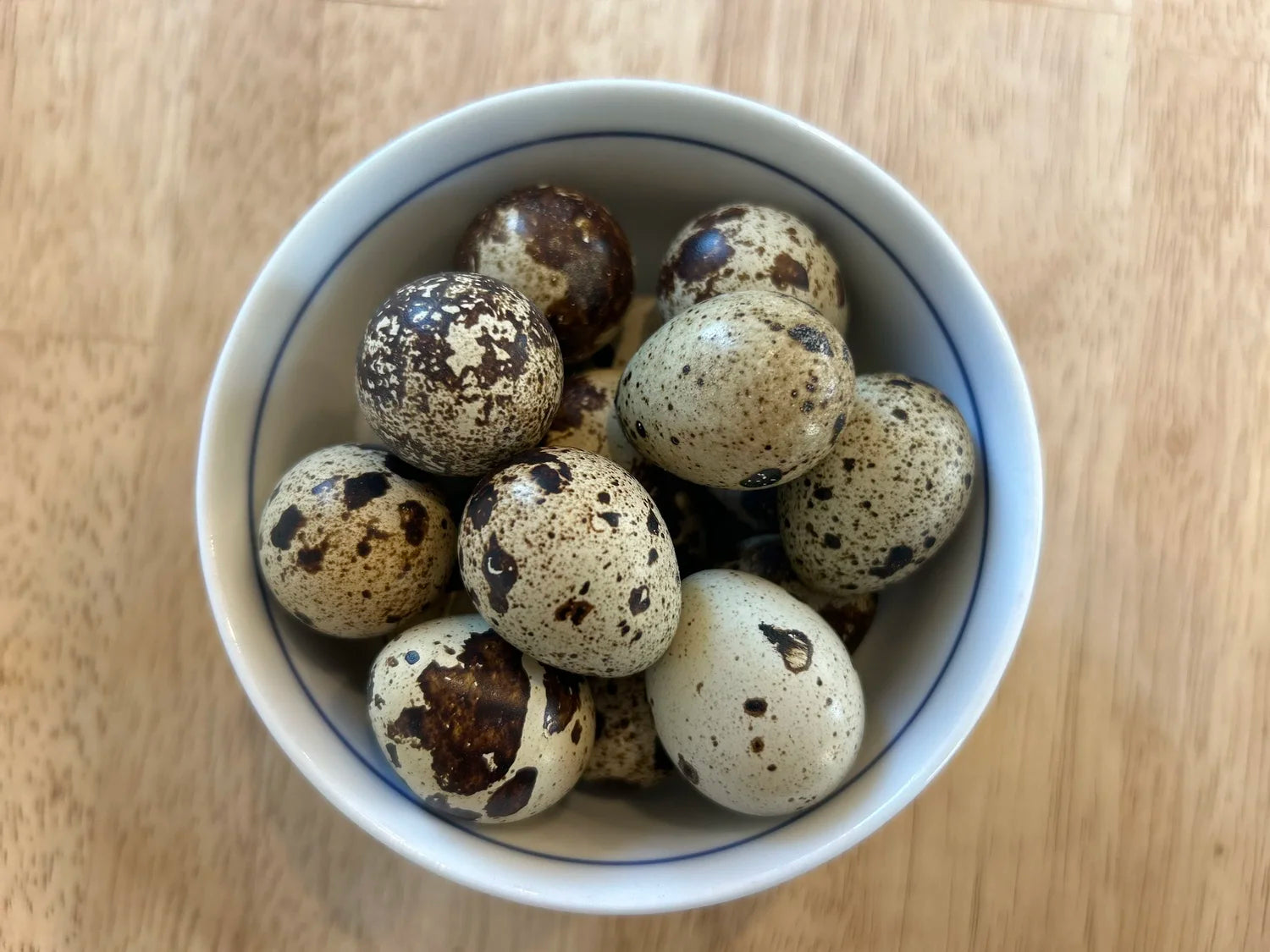 Sun Dynasty Farm - Quail Eggs Grass-Fed - 16pk (IN STORE PICKUP ONLY)