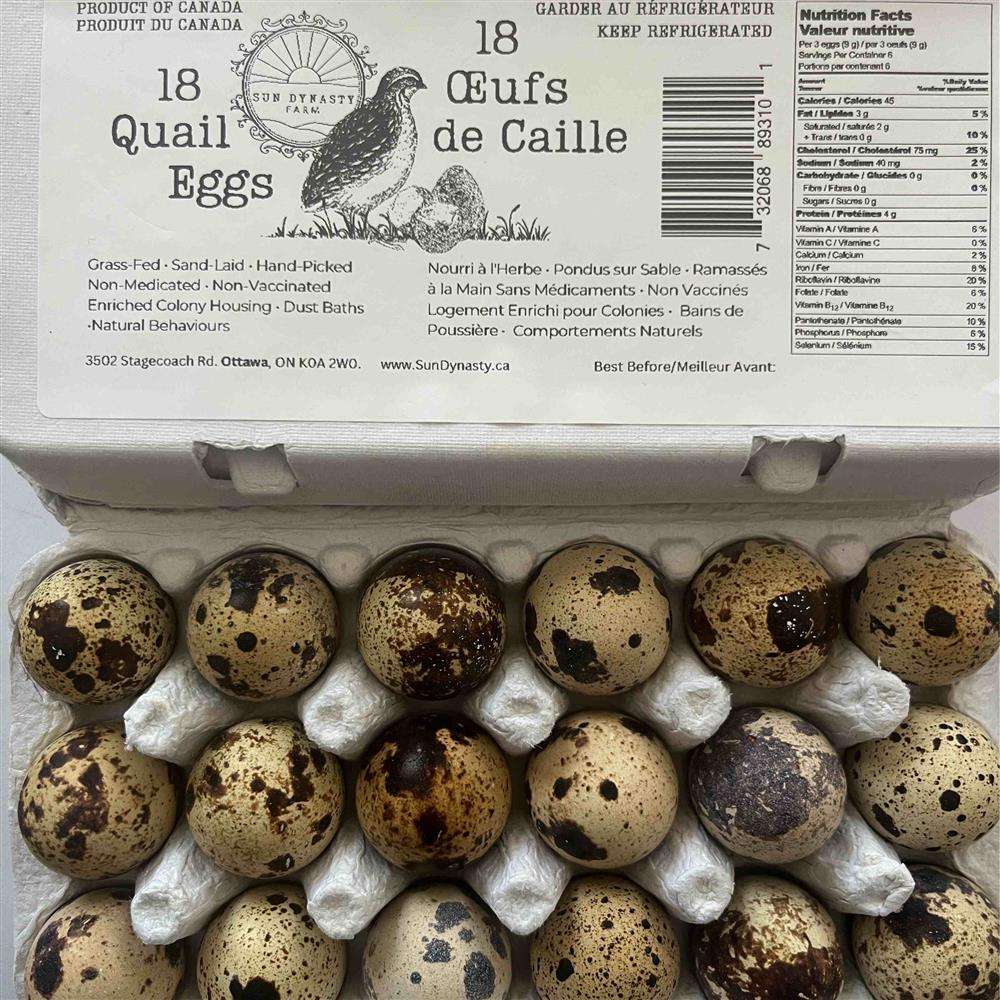 Sun Dynasty Farm - Quail Eggs Grass-Fed - 16pk (IN STORE PICKUP ONLY)