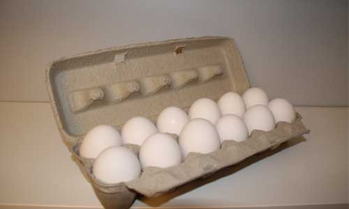 Beking's Poultry Farm - Large White Eggs Roam Free Hens - 1 Dozen (IN STORE PICKUP ONLY)