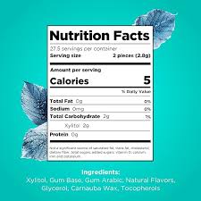 Pur Gum - Wintergreen - 77g
